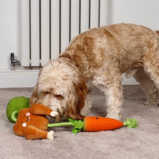 Christmas Tugga Chicken Dinner Dog Toy