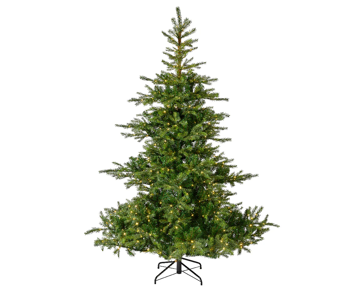 Everlands 7ft Grandis Fir Pre-Lit with 550 Warm White Micro LEDs Artificial Christmas Tree - Image 3