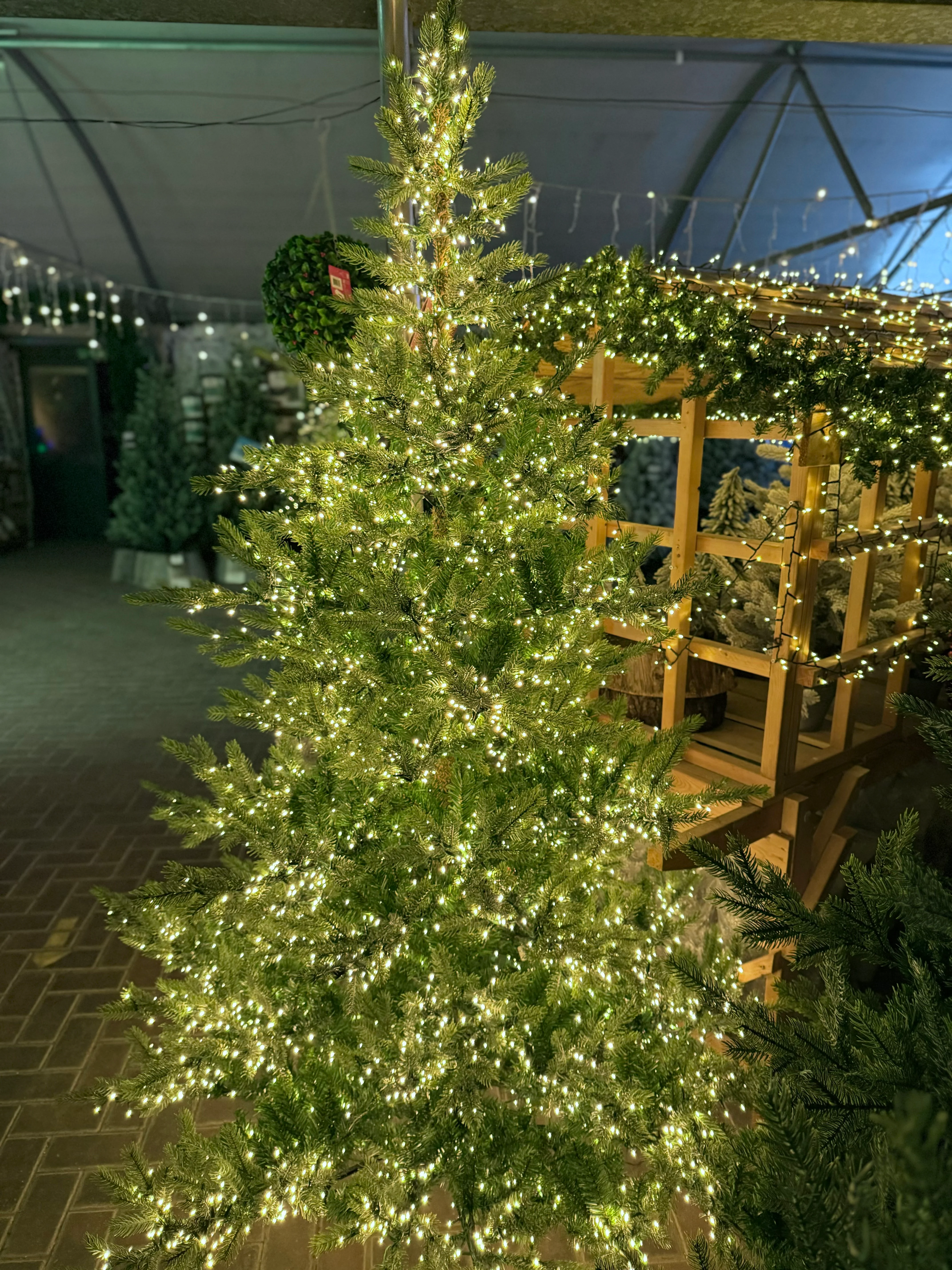 Everlands 8ft Grandis Fir Pre-Lit with 5200 Warm White Compact Cluster Light Artificial Christmas Tree - Image 2