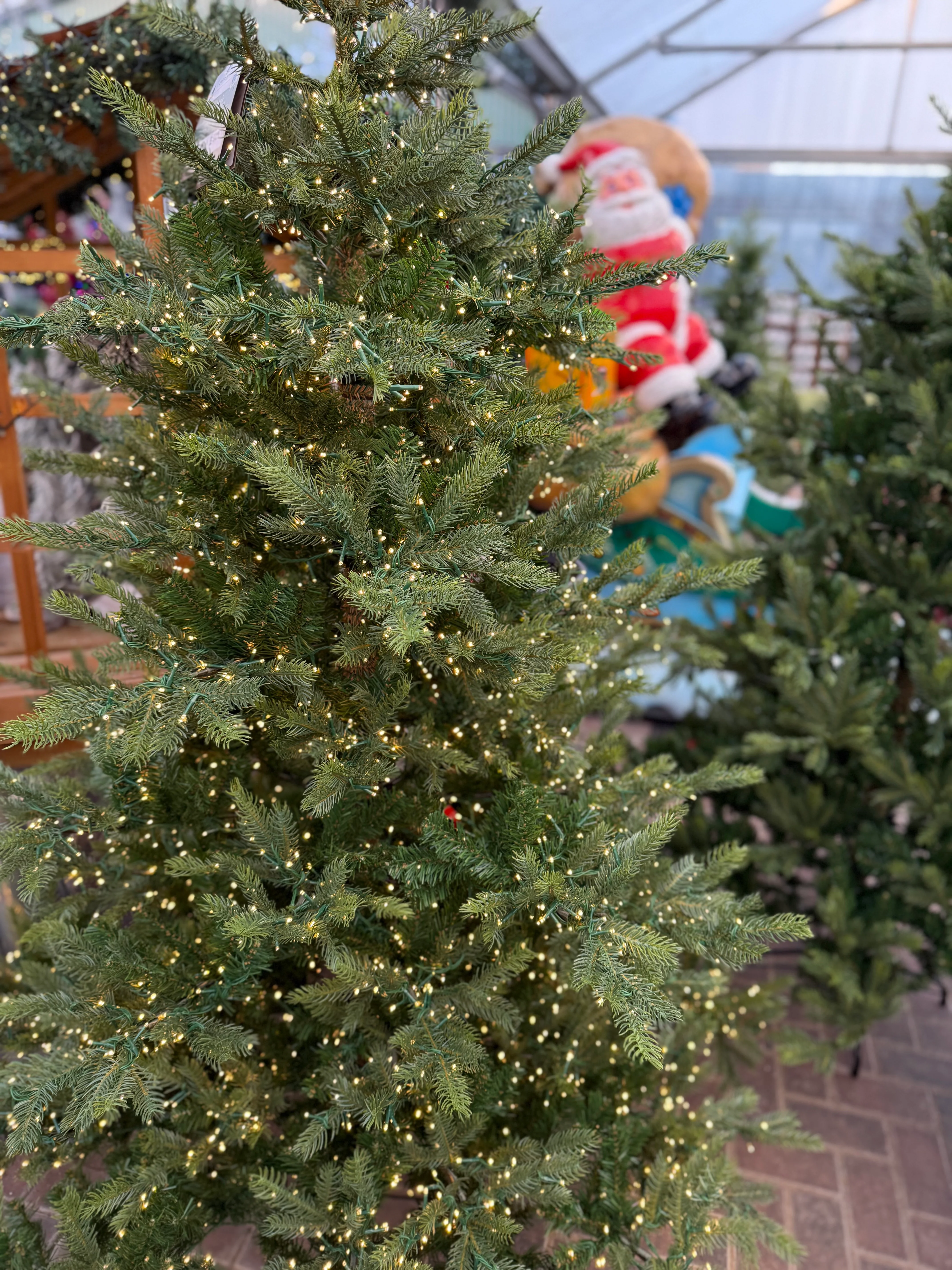 Everlands 8ft Grandis Fir Pre-Lit with 5200 Warm White Compact Cluster Light Artificial Christmas Tree - Image 5