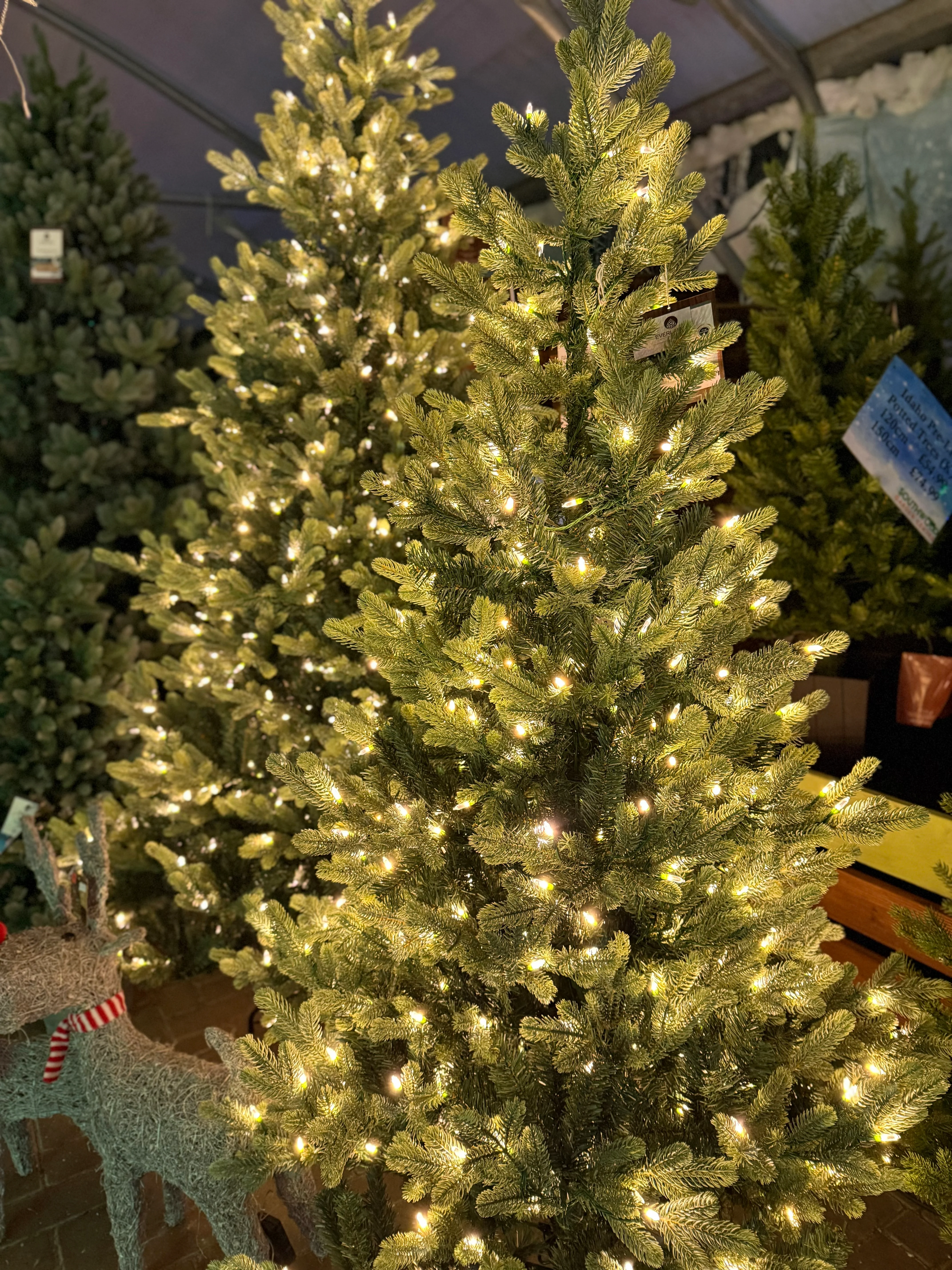 Everlands Geneva Fir Pre-Lit LED Artificial Tree with Warm White & Multi-Coloured Lights - Colour Switcher - Image 5