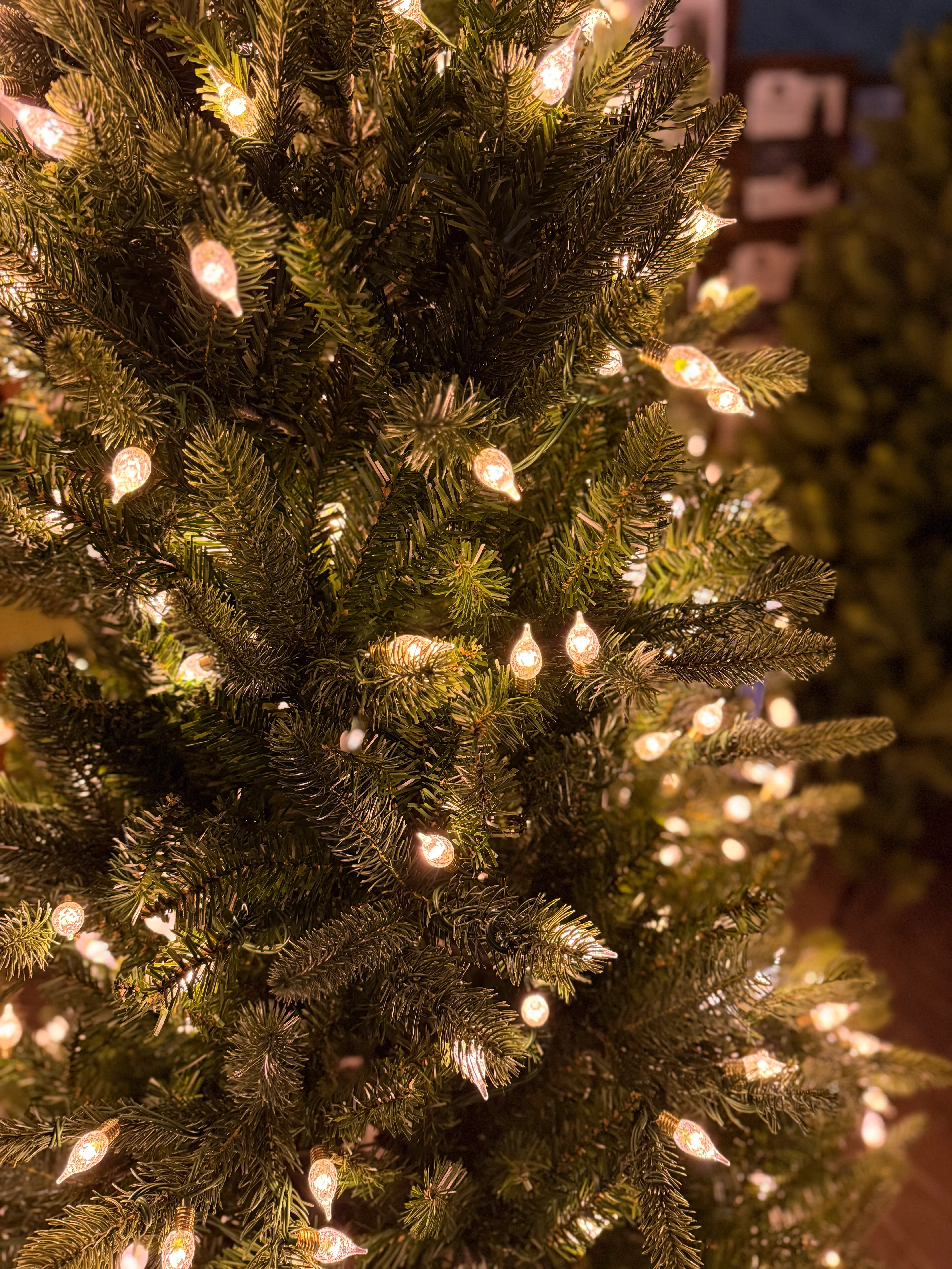 Everlands Pre-Lit Bromont Fir Artificial Christmas Tree with Large Vintage Duo Bulb Lights - Image 5