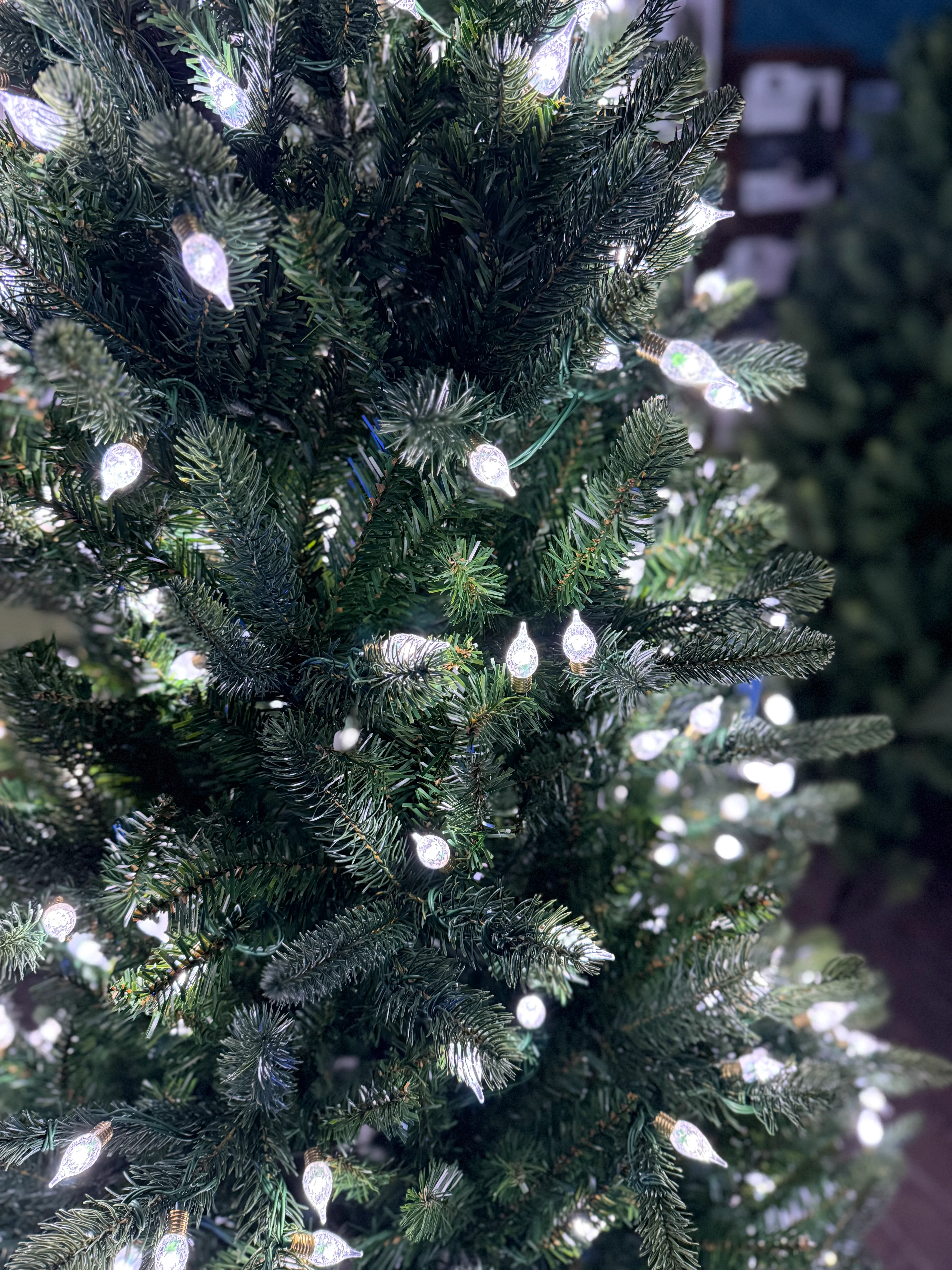 Everlands Pre-Lit Bromont Fir Artificial Christmas Tree with Large Vintage Duo Bulb Lights - Image 6