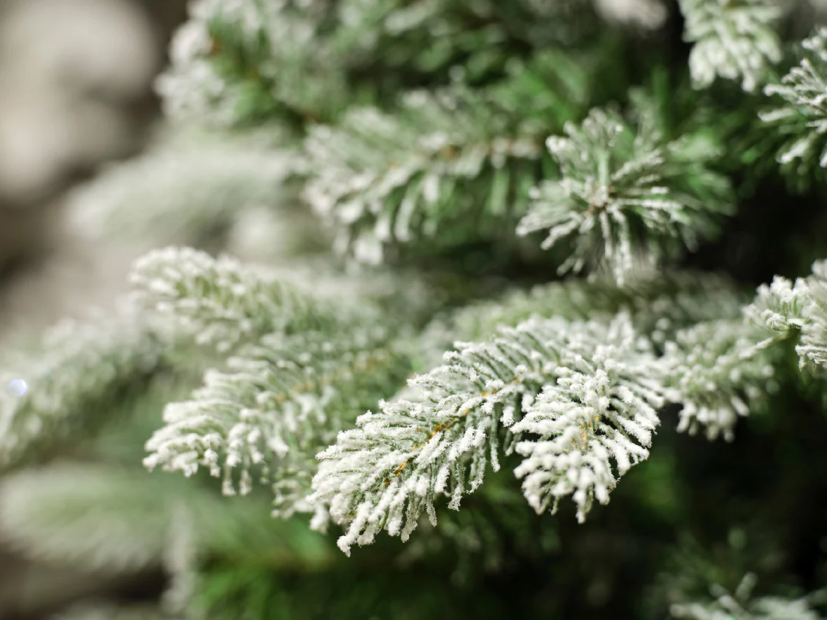 Everlands Sunndal Fir Frosted Artificial Christmas Tree - Image 4