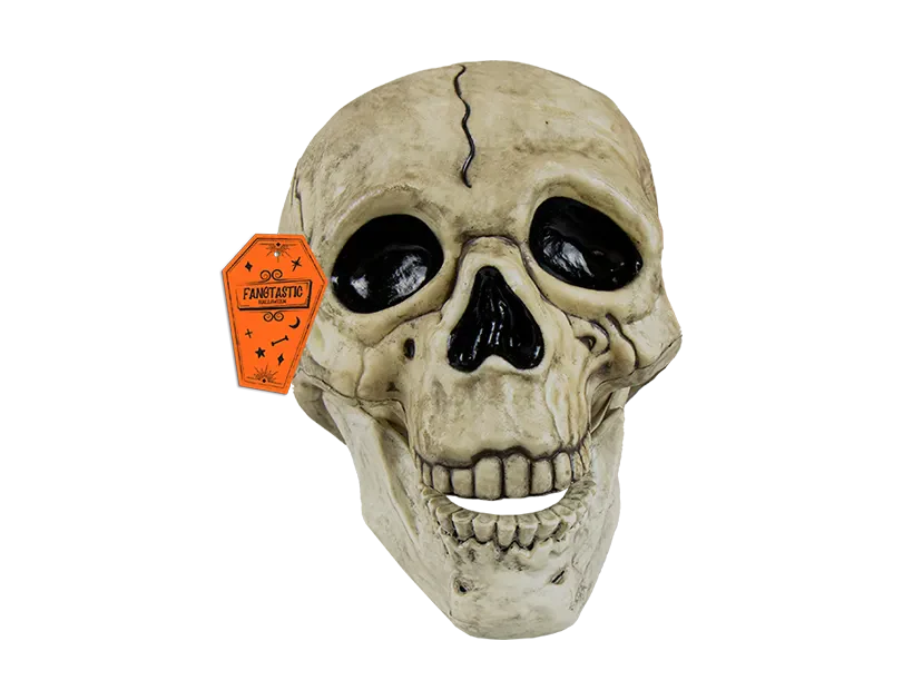 Halloween Skull Decoration with Black Line Detail