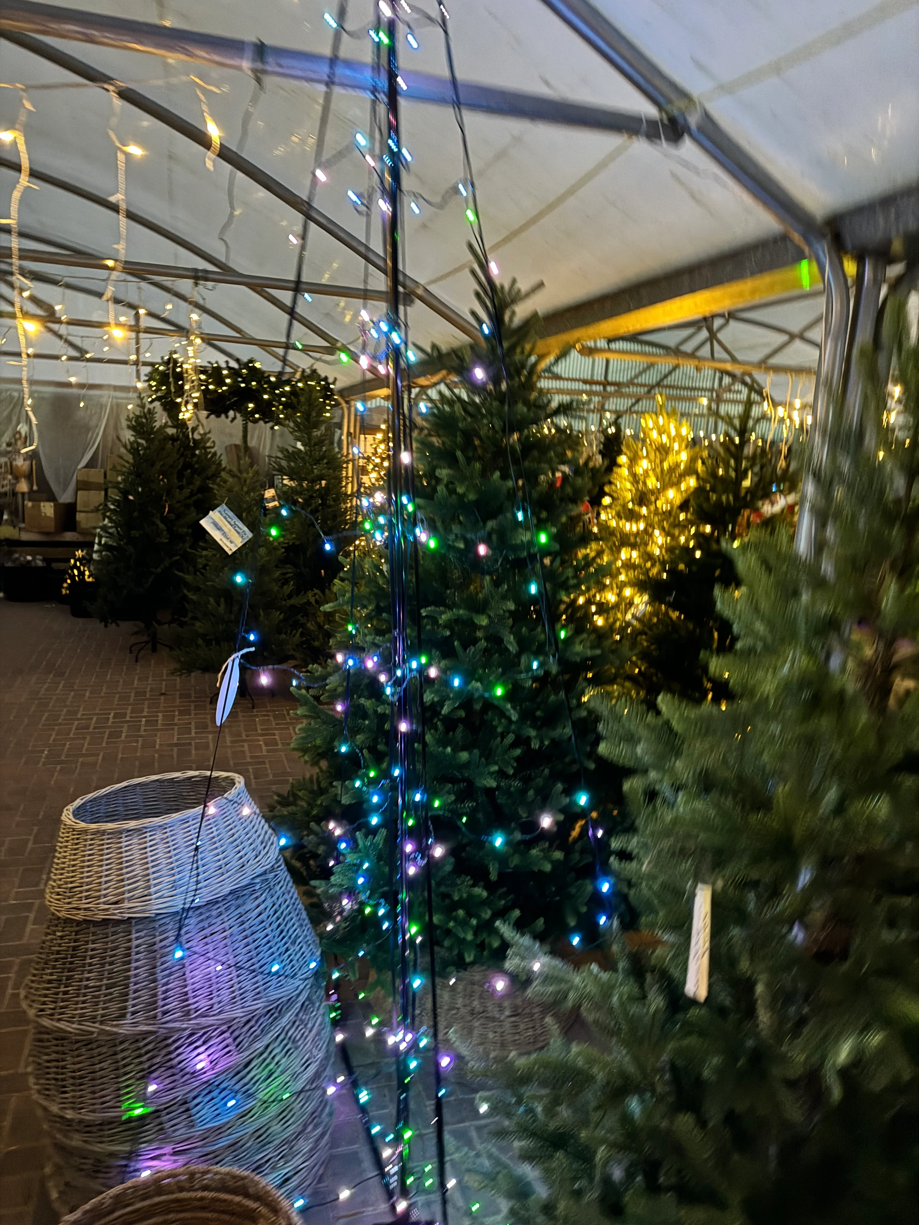 NOMA 3m Starry Nights All Purpose Tree with 204 Colour Changing Spectrum App Controlled LEDs - Image 2