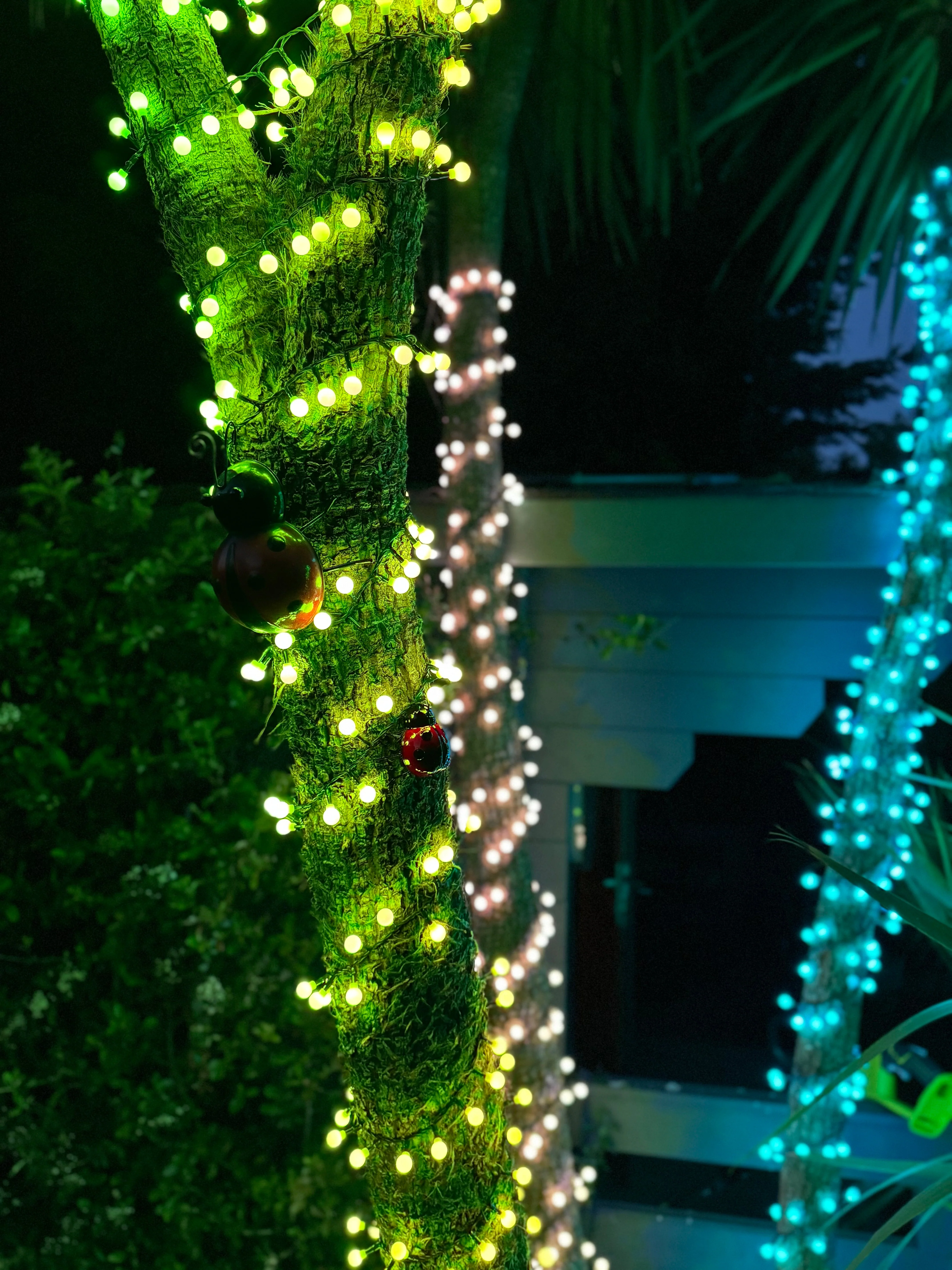 NOMA Large Berry Colour Changeable Remote Control LED Lights - Image 12