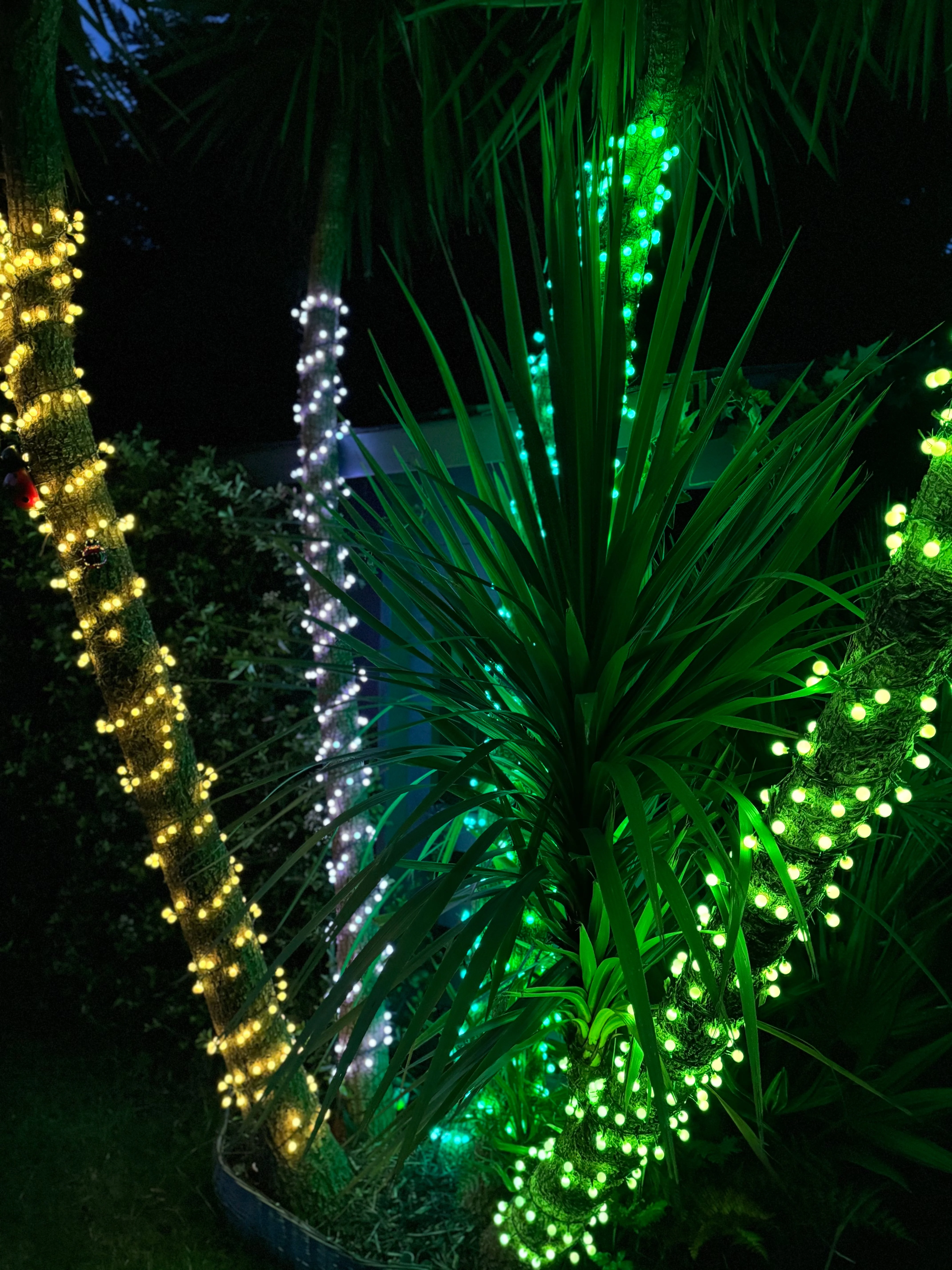 NOMA Large Berry Colour Changeable Remote Control LED Lights - Image 14