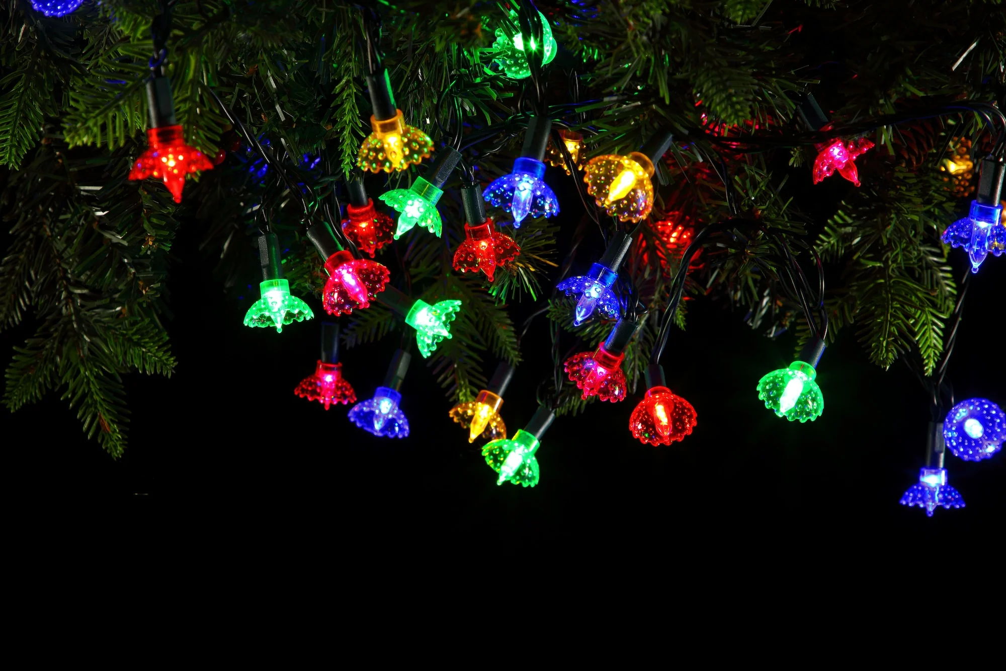 NOMA Classic Pickwicks Battery Operated LED Lights - Set of 20 - Image 2