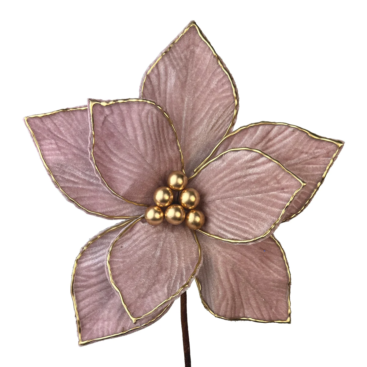 Pale Pink with Gold Edge Poinsettia - 25cm