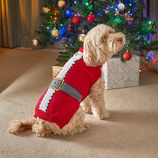 SantaSuit Dog Christmas Jumper