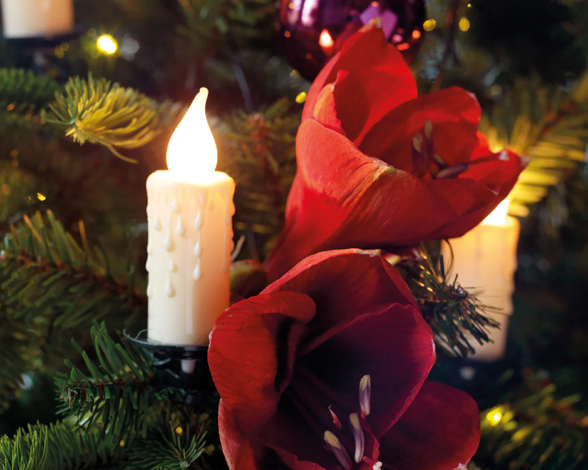 Vintage Warm White Candle Clip on String Lights with Green Cable- 30 LEDs - Image 3