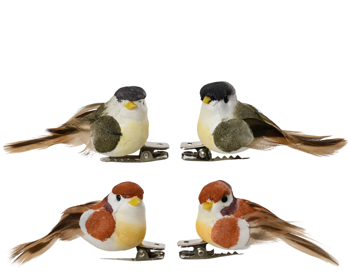 Woodland Bird on Clip Decoration - Set of 4